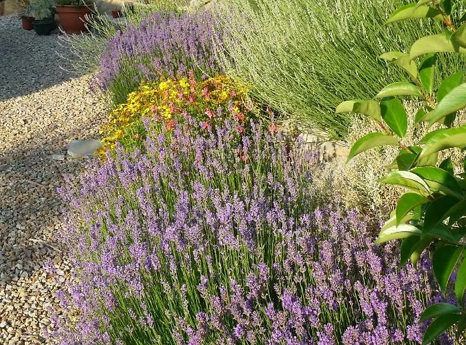 Splendide Vue Pyrenees, Rez De Jardin 2 Montjoie-en-Couserans