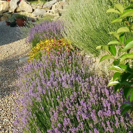 Splendide Vue Pyrenees, Rez De Jardin 2 Montjoie-en-Couserans